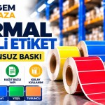 Termal Renkli Etiketler